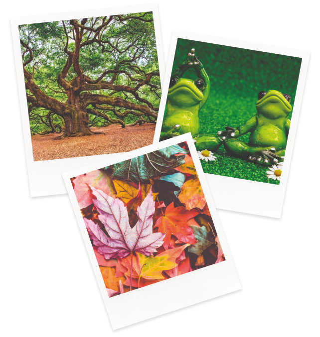 ateliers-nature-pola