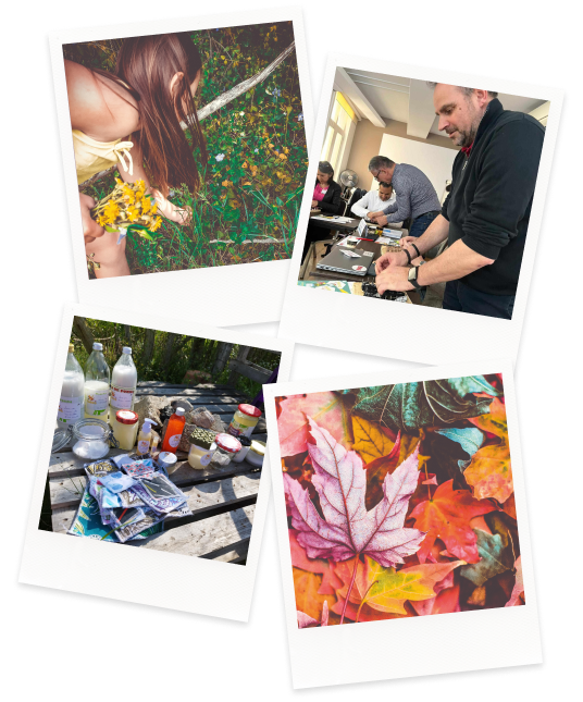 ressources-photos-new
